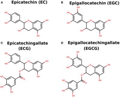 Targeting a transcription factor NF-κB by green tea catechins using in silico and in vitro studies in pancreatic cancer